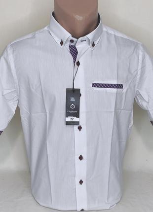 Рубашка мужская fiorenzo vк-0011 белая однотонная приталенная  турция с коротким рукавом, тенниска мужская