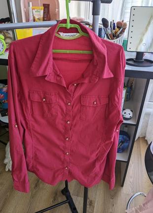 Соочка червона