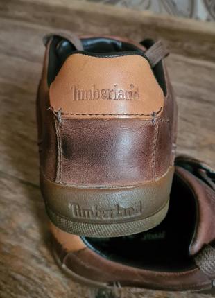 Кросівки timberland