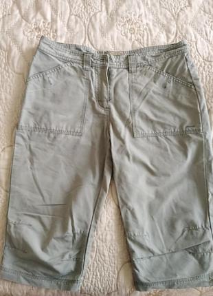 Бріджі жіночі.