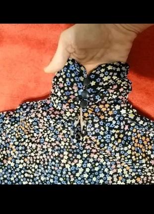 Блуза шифон гольф 5