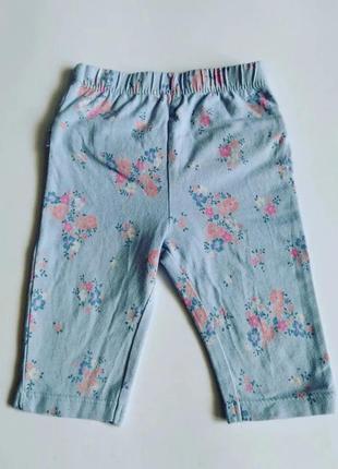 Лосины, бриджи