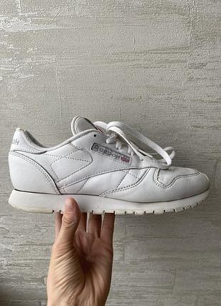 Кросівки reebok classic leather