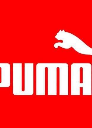 Брюки спортивные мужские puma ess logo pants5 фото