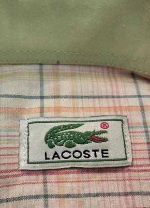 Рубашка lacoste хлопок5 фото