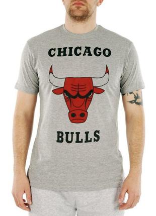Футболка backcourt chicago bulls grey