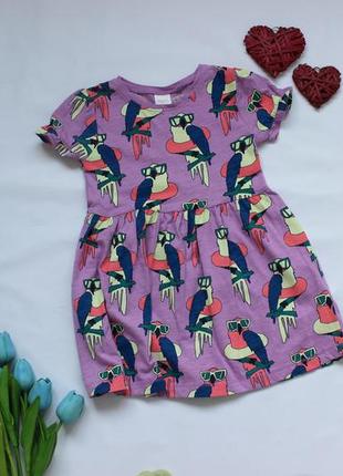 Сукня, плаття next 2-3 роки