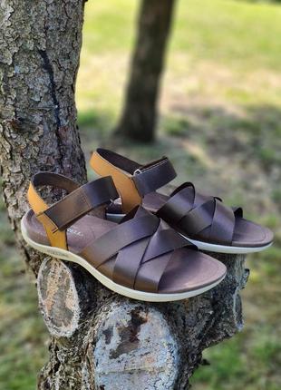 Жіночі сандалі merrell district maya backstrap оригінал.