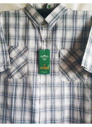 Літня сорочка чоловіча з коротким рукавом великий розмір бавовна чоловіча сорочка в клітку бавовна батал