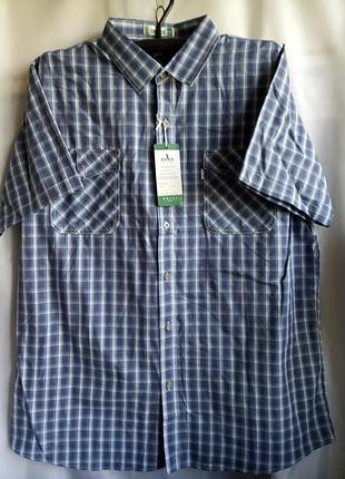 Сорочка чоловіча з коротким рукавом великий розмір бавовна сорочка чоловіча в клітку бавовна