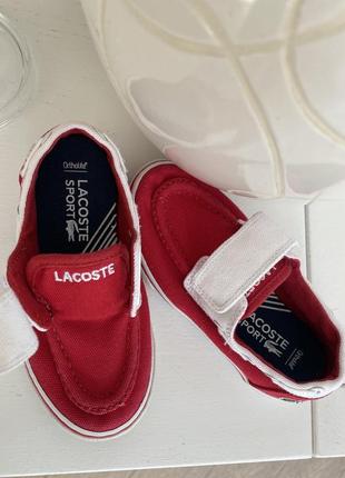 Кеды lacoste7 фото