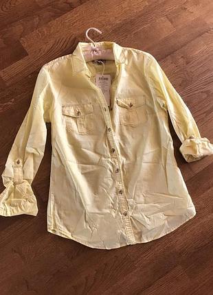 Сорочка colin's, p. m