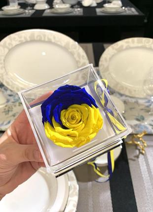 Стабілізована троянда бутон прапор україни в акриловій подарунковій коробці 8*8*8 см