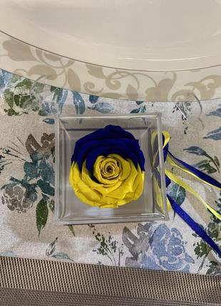 Стабилизированная роза бутон прапор україни в акриловой подарочной коробке 8*8*8 см7 фото