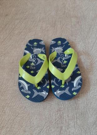 Вьетнамки, шлепанцы