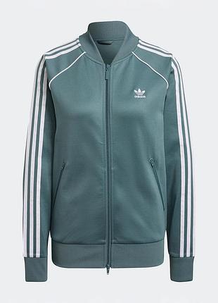 adidas guatemala