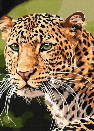 Картина по номерам зеленоглазый леопард kho4322