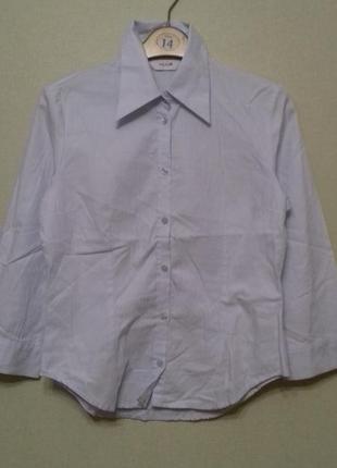 Рубашка деловая блуза next  хлопок размер 34