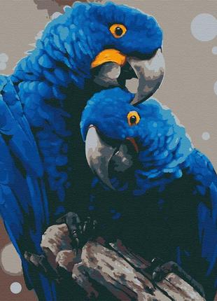 Картина по номерам бланк rb- 0001 попугаи гіацинтові ара