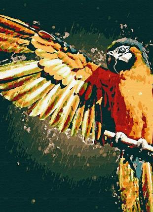 Картина за номерами бланк rb - 0007 дощ у тропіках папуга