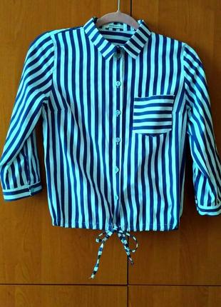 Жіноча блузка в синю смужку, розмір xs-s