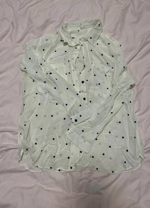 Рубашка белая в горошек promod1 фото