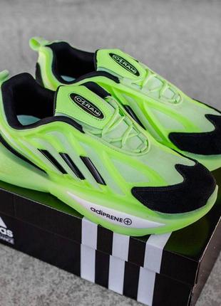 Кроссовки adidas8 фото