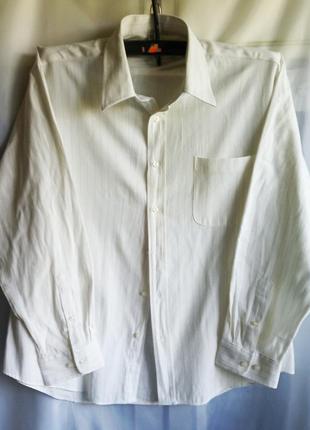 Сорочка чоловіча біла рубашка мужская с длинным рукавом белая в тонкую полоску