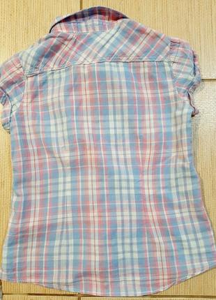 Фірмова сорочка 2