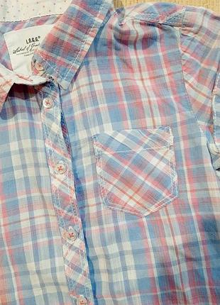 Фірмова сорочка 6