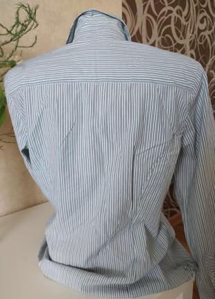 Блуза в полосочку oliver4 фото