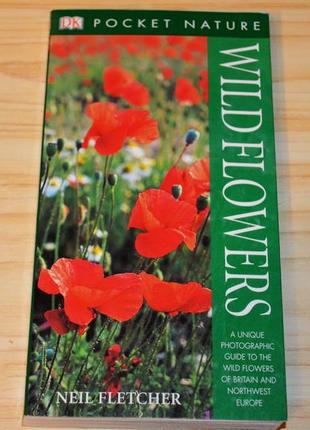 Dk wild flowers, дитяча книга англійською мовою