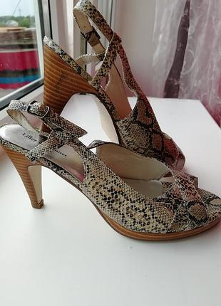 👑 босоножки lilley &skinner с принтом под " питона"  👑туфли с анималистическим принтом