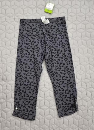 Лосини*2 шт here&there