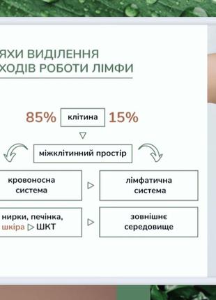 Натуральний дезодорант deo bergamot9 фото