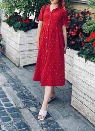 Плаття в горошок
