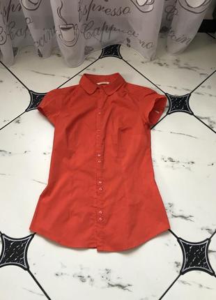 Класична блузка