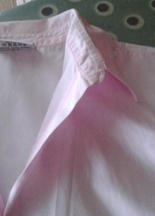 Розовая блузка рубашка короткая топ без рукавов sara women новая зеландия батал4 фото