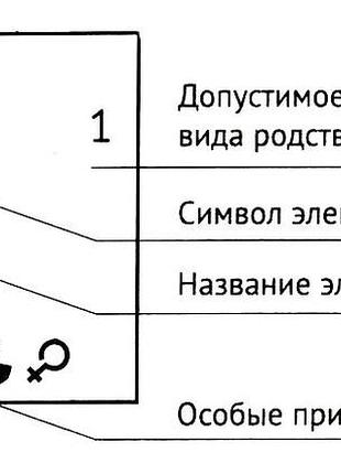 Жіноча футболка з принтом "сестрий" push it2 фото
