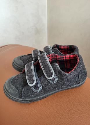 Кеді