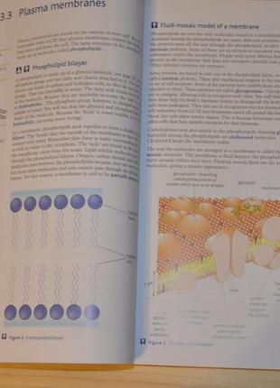 Human biology, книга англійською мовою4 фото