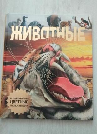 Книга атлас природознавство "животные, большой иллюстрированный атлас для детей"