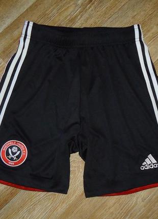 Шорти adidas aeroready sheffield united