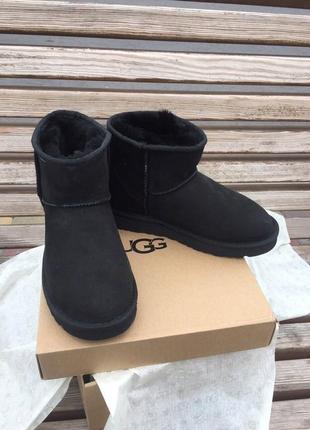 Угги ugg mini black1 фото