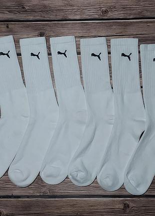 🛍️ высокие носки 3