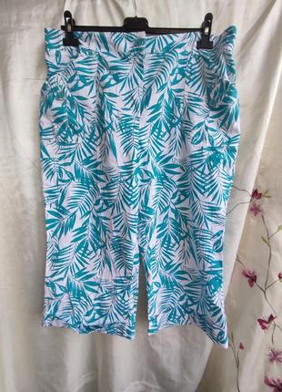 Бриджі, штани