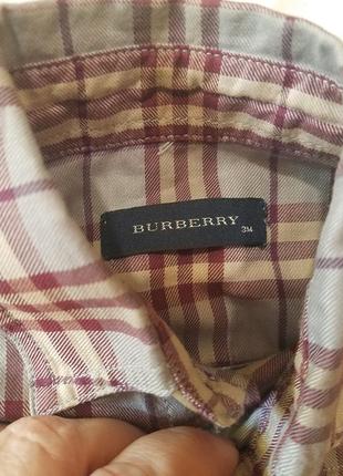 Рубашка для мальчика burberry 5