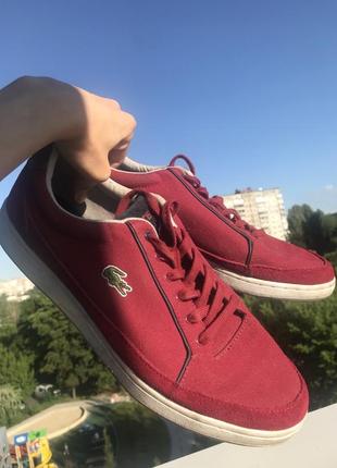 Мужские кеды lacoste1 фото