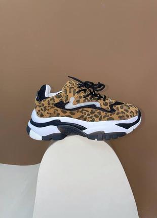 Жіночі кросівки ash leopard