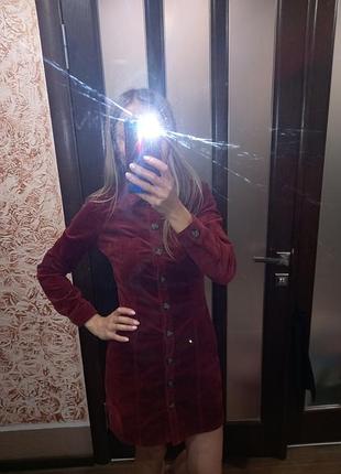 Плаття zara 4